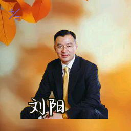 刘阳